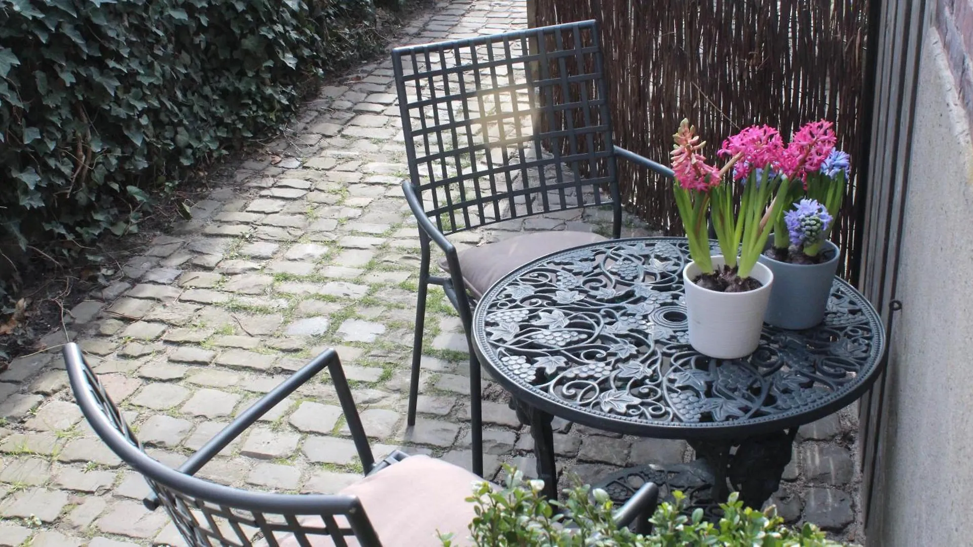Hof, A Luxury B&B In The Center Of Eindhoven Bed & Breakfast